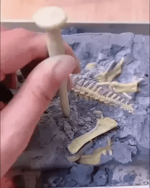 Dino Opgravings Avontuur Kit